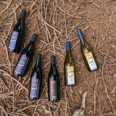 le cerbier les vins